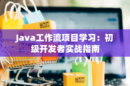 Java工作流项目学习：初级开发者实战指南