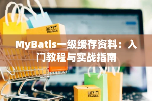 MyBatis一级缓存资料：入门教程与实战指南