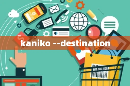 kaniko --destination