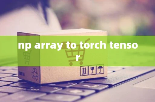 np array to torch tensor