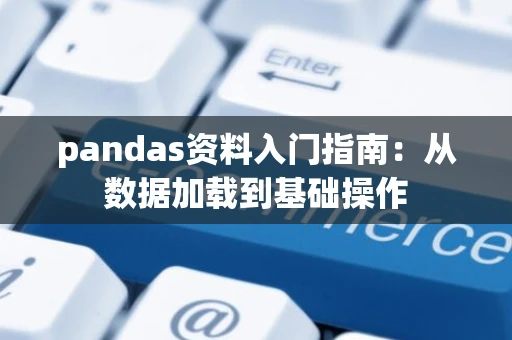 pandas资料入门指南：从数据加载到基础操作