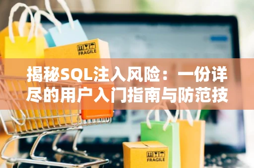 揭秘SQL注入风险：一份详尽的用户入门指南与防范技巧解析