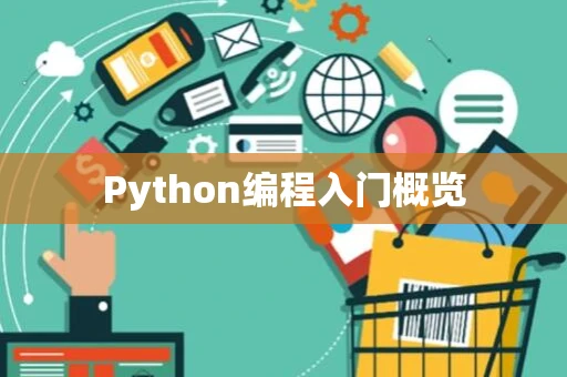 Python编程入门概览