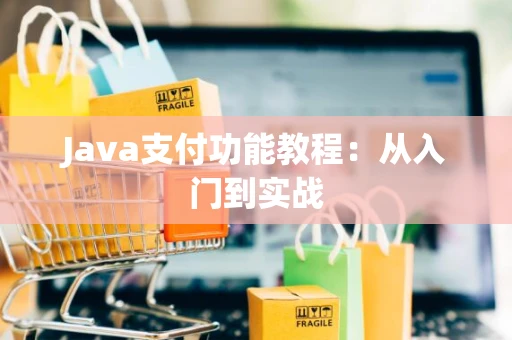 Java支付功能教程：从入门到实战