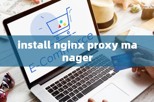 install nginx proxy manager