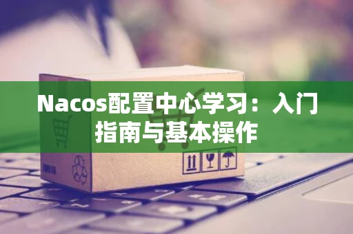 Nacos配置中心学习：入门指南与基本操作