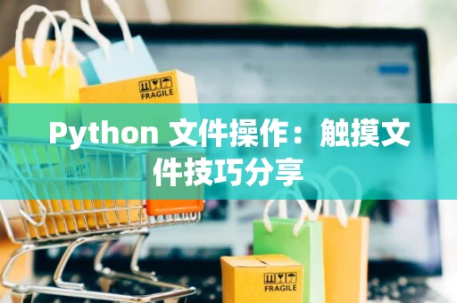 Python 文件操作：触摸文件技巧分享