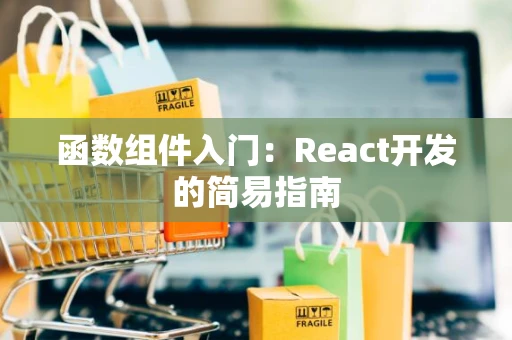 函数组件入门：React开发的简易指南