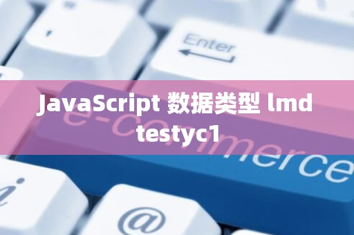 JavaScript 数据类型 lmdtestyc1