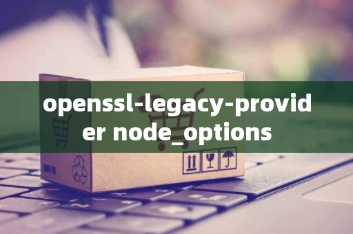 openssl-legacy-provider node_options