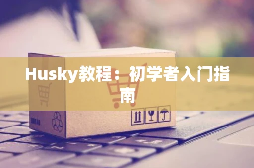 Husky教程：初学者入门指南