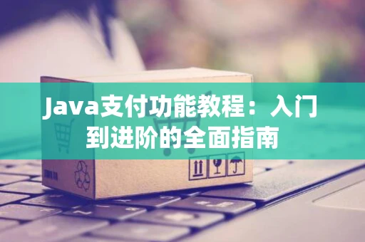 Java支付功能教程：入门到进阶的全面指南