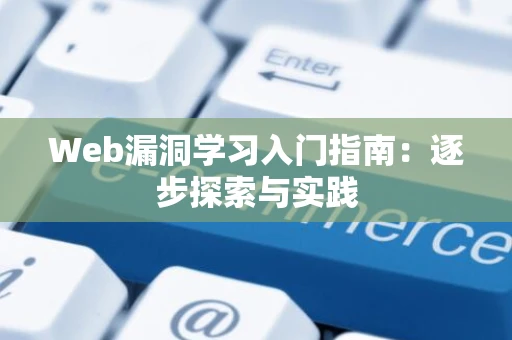 Web漏洞学习入门指南：逐步探索与实践