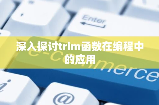 深入探讨trim函数在编程中的应用