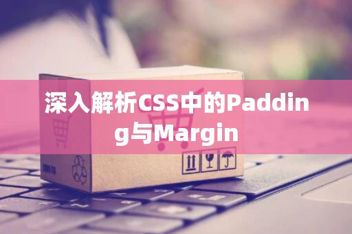 深入解析CSS中的Padding与Margin