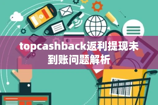 topcashback返利提现未到账问题解析