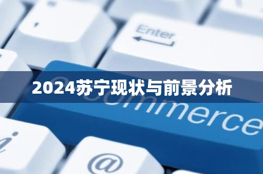 2024苏宁现状与前景分析