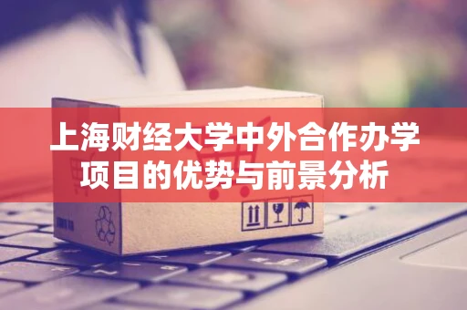 上海财经大学中外合作办学项目的优势与前景分析