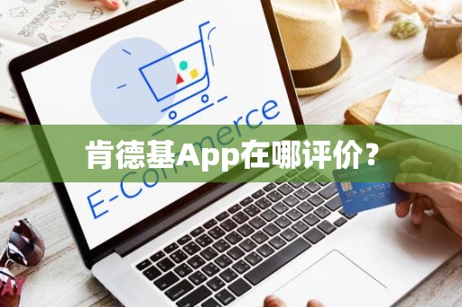 肯德基App在哪评价？