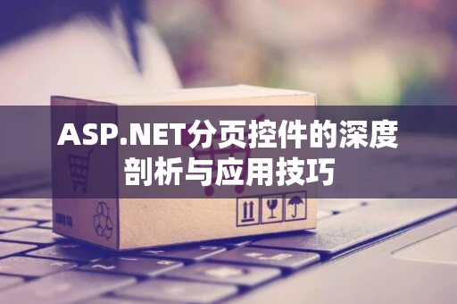 ASP.NET分页控件的深度剖析与应用技巧